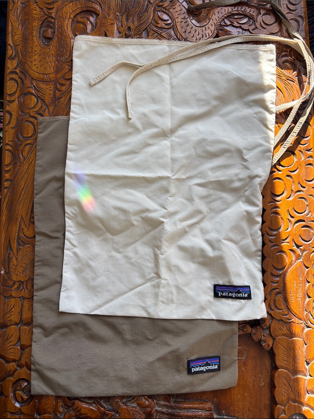 Patagonia organization bag